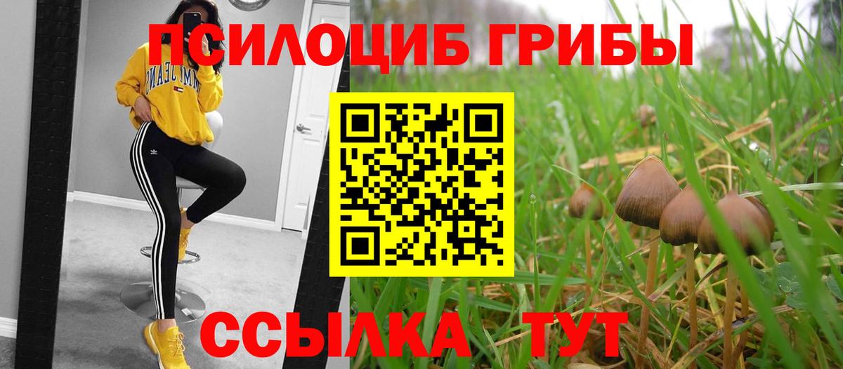 Галлюциногенные грибы ЛСД Видное