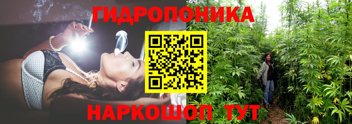 НБОМе Видное